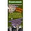 Мицелий вешенки комплект по России почтой семена грибов