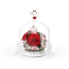 Роза алая натуральная в герметичной вазе из стекла