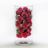 Роза алая натуральная в герметичной вазе из стекла