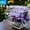 Орхидеи фиолетовые в интерьере - живые в стекле