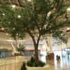 Искусственные деревья больших размеров для Торговых центров.