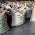 Импорт зеленого кофе в зёрнах напрямую от производителя